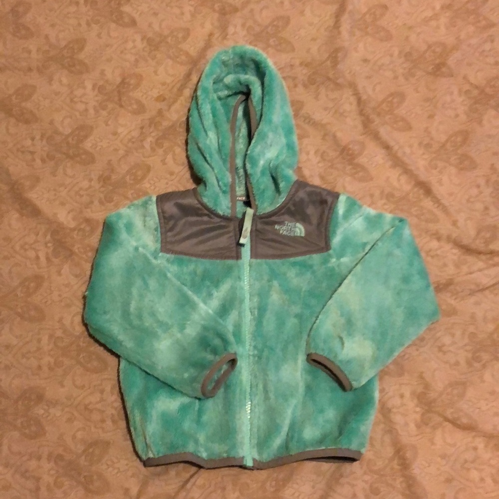 Northface hooded jacket